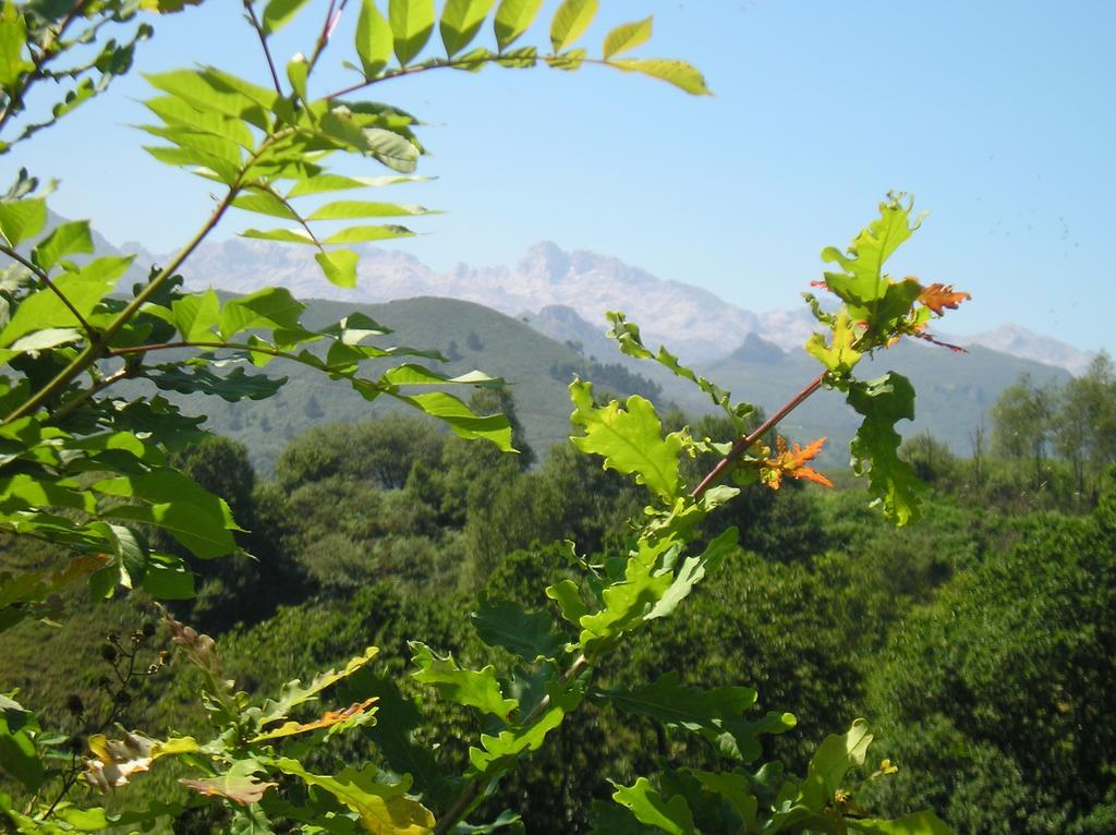 Casa Rural Alborada Bobia de Arriba Zewnętrze zdjęcie
